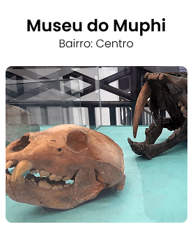 Crânio de animal da megafauna em exposição no Museu de Pré-História de Itapipoca MUPHI Ceará